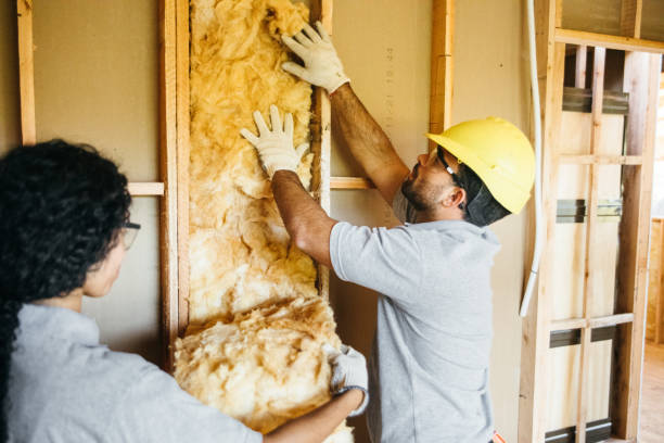 Professional Insulation Contractor in Fanwood, NJ